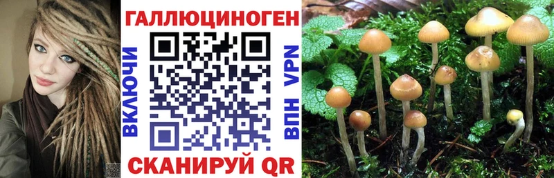 купить наркотик  Сызрань  Галлюциногенные грибы GOLDEN TEACHER 