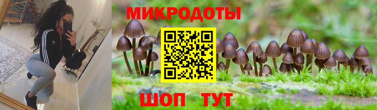 Псилоцибиновые грибы MAGIC MUSHROOMS Сызрань